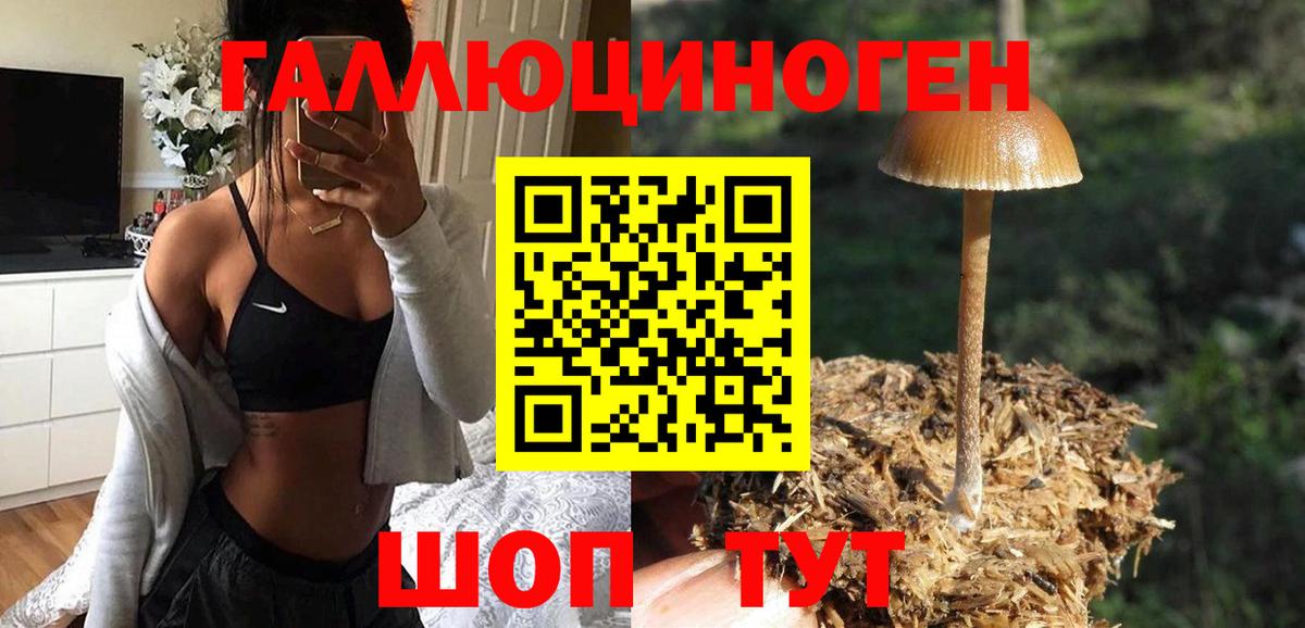 Галлюциногенные грибы GOLDEN TEACHER Нижний Тагил
