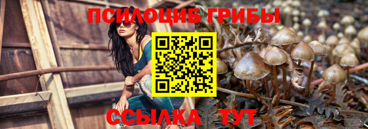Псилоцибиновые грибы Magic Shrooms  Вход с VPN  Нижний Тагил 